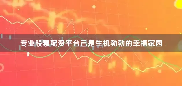 专业股票配资平台已是生机勃勃的幸福家园